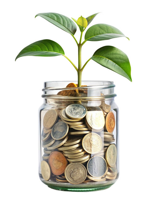 Jar of money plant economy green on transparent background png